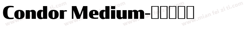 Condor Medium字体转换